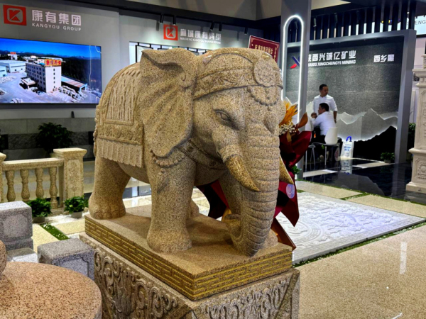 IMG_20250318_145124.jpg IMG_20250318_145124.jpg